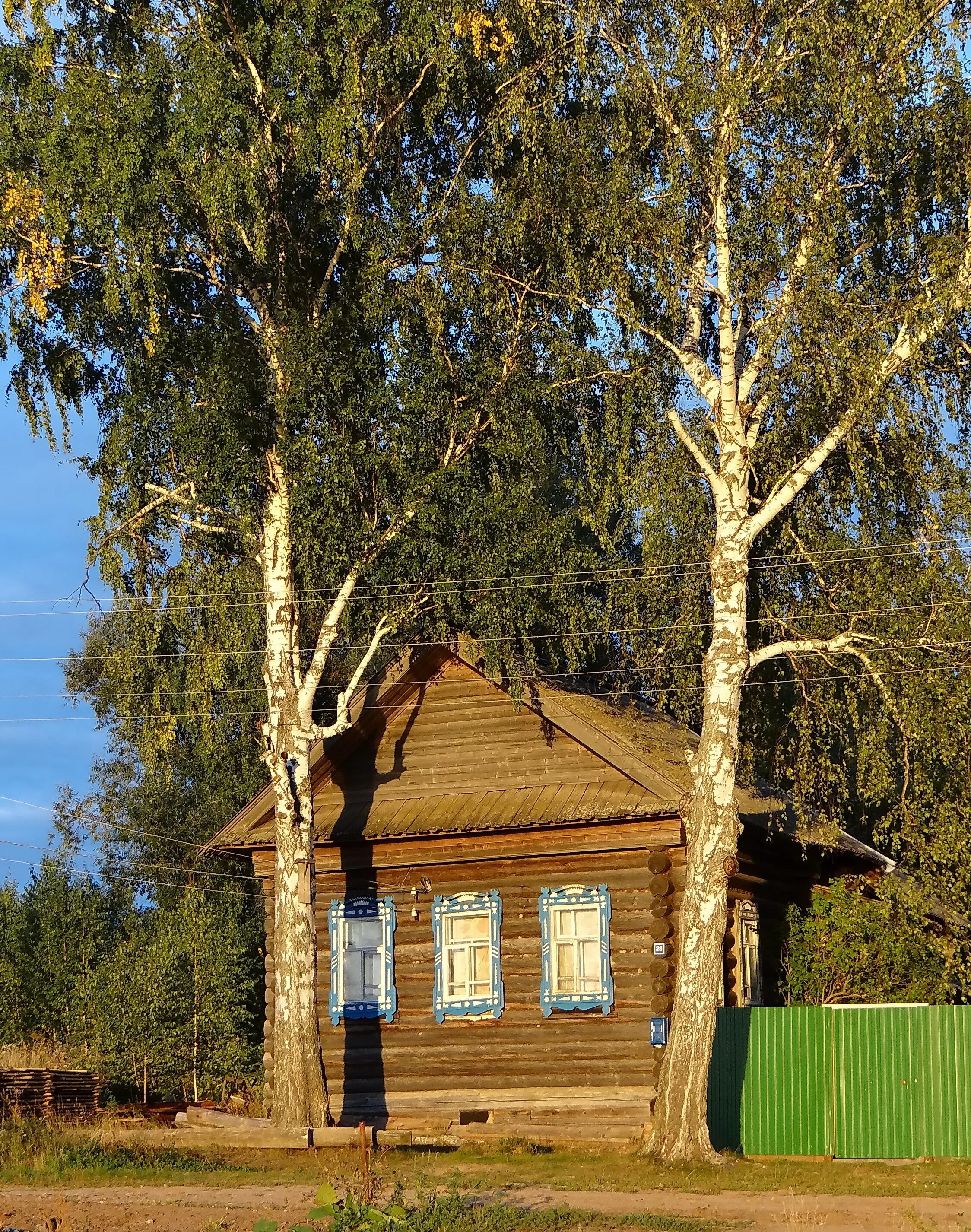 Деревенский дом с березой. Домик в деревне с березами. Дом и Березки. Домик в деревне с березкой. Березка домики