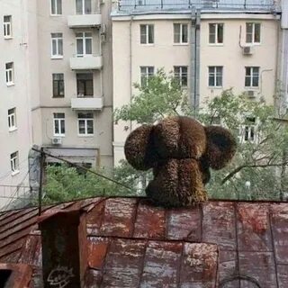 Позабросил