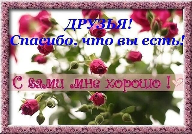 Друзья спасибо что вы есть. Открытки с благодарностью друзьям. спасибо что вы есть у меня. спасибо друзья что вы есть у меня. красивые открытки с благодарностью друзьям.