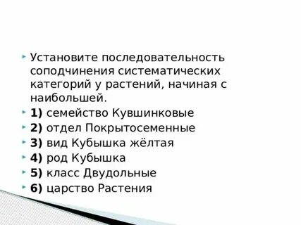 Последовательность соподчинения элементов нервной системы