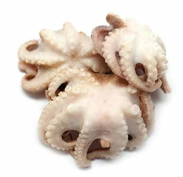 Мини осьминоги. Беби осьминоги. Осьминог бейби замороженный. Мини осьминоги. Осьминожки морепродукты маленькие.