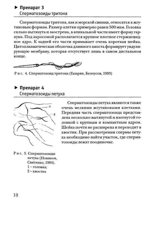 Спермограмма таблетка