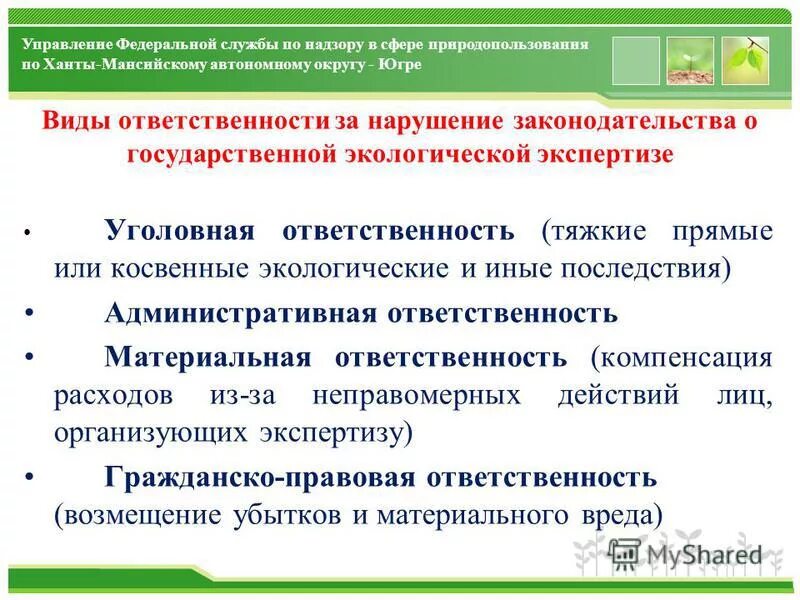 Ответственность за нарушение законодательства об экологической экспертизе. Ответственность за нарушение законодательства об экологической экспертизе