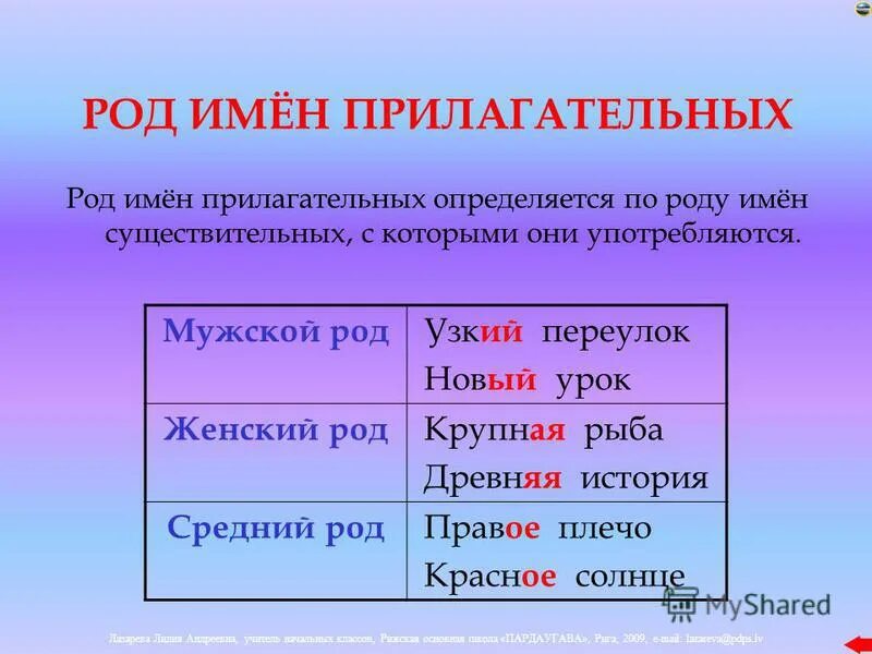 единственное и множественное число прилагательных. слово прорубь какого рода в русском. зелень женский род. склонение существительных по падежам. зелень женский род.
