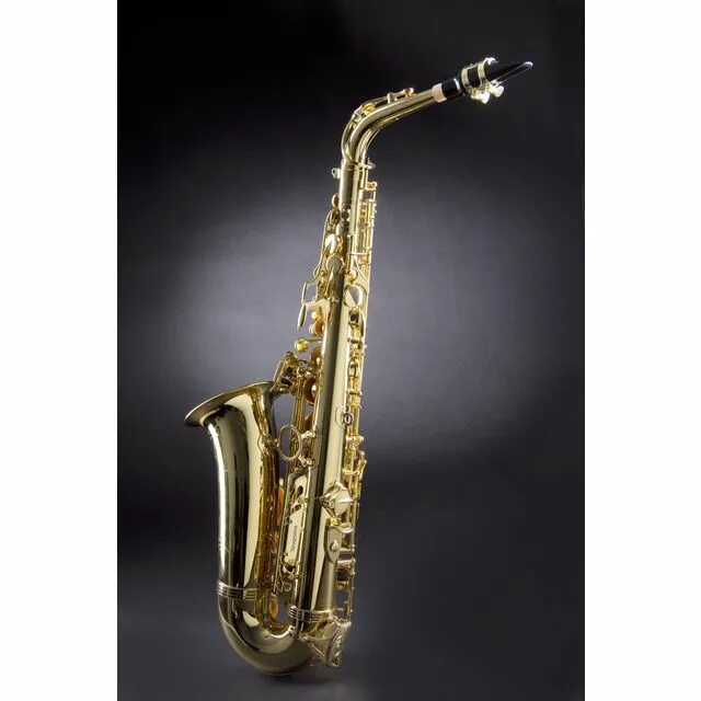 Саксофон купить билеты. Саксофон Альт Yanagisawa Elite w020. Yanagisawa b-wo1. Alto_Sax 1105 author. Саксофон Альт a-wo10 год выпуска.