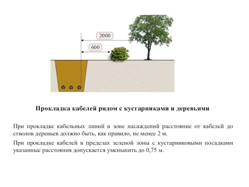 Прокладка кабеля в земле пуэ. Расстояние от кабеля до дерева. прокладка кабеля рядом с деревьями и кустарниками. прокладка кабеля в земле вблизи деревьев, кустарников. от ствола дерева до кабельной линии.