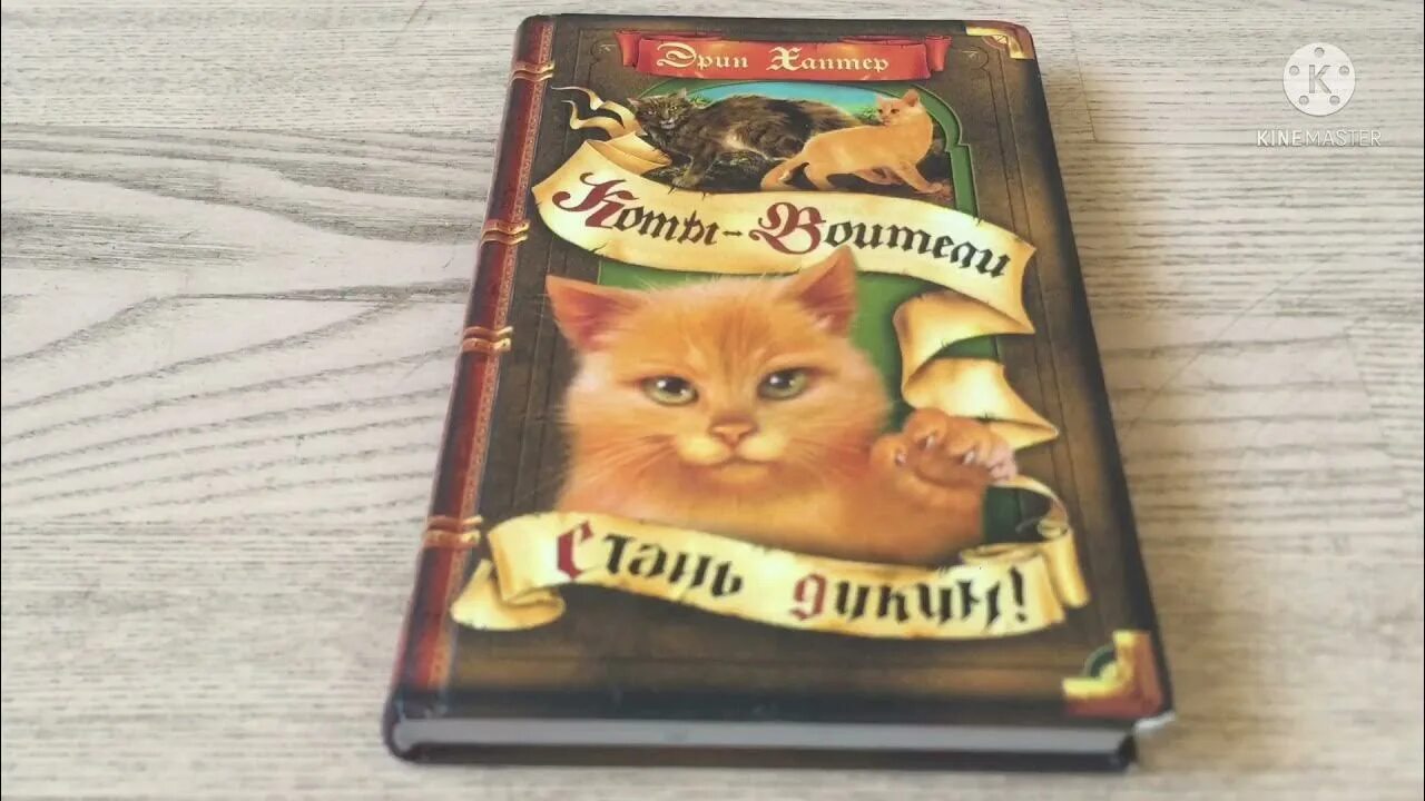 Аудиокнига стань диким. Книга коты Воители Стань диким обзор. Стань диким! Книга. Стань диким! Эрин Хантер книга. Кто написал книгу Стань диким.