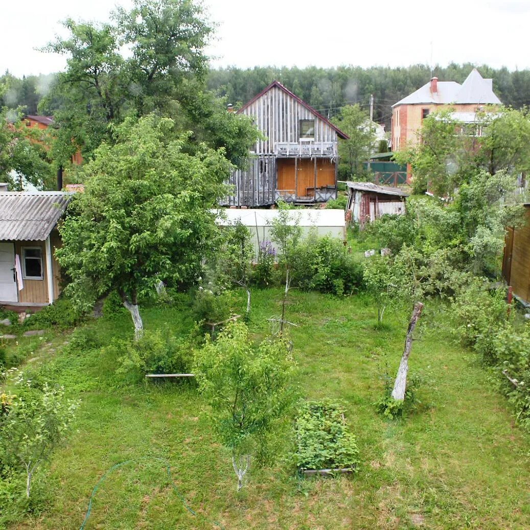 Деревня Старовасилево Егорьевский район. СНТ васильки Наро-Фоминский район. Михась СНТ Василек. Дачи в СНТ Василёк.