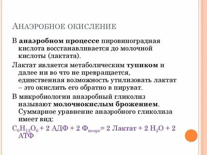 Аэробный процесс это