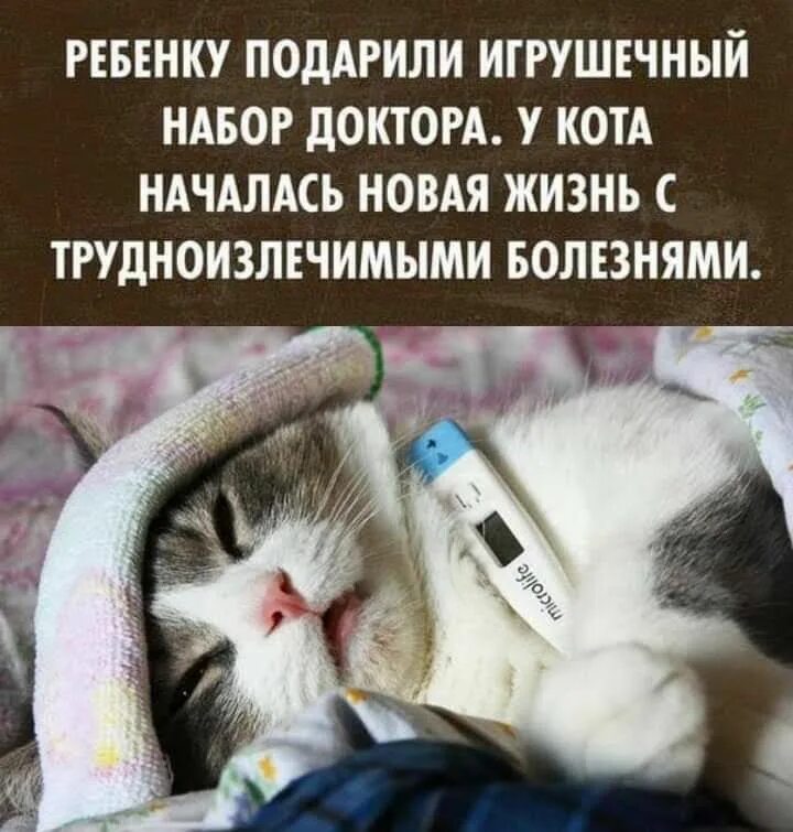 Кот болеет. Ребенку подарили набор доктора и у кота началась новая жизнь. У кота началась новая жизнь с трудноизлечимыми болезнями.