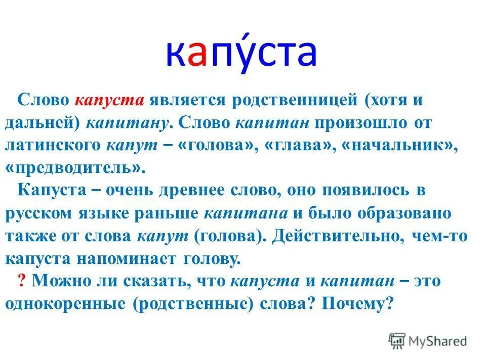 Анализ слова капуста