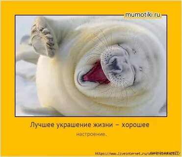 Лучшее украшение жизни хорошее