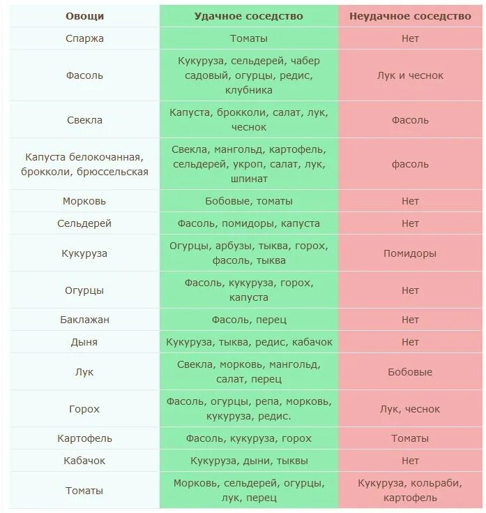 Можно ли сажать фасоль рядом. Огородное соседство овощей на грядках таблица. Совместимость огородных растений на грядке таблица. Таблица совместимости посадки овощей. Соседство растений на огороде таблица овощей грядках совместимости.