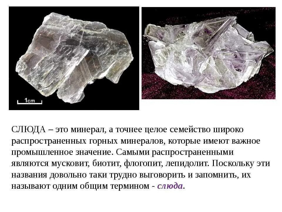 Какой минерал является распространенным. Слюда происхождение горной породы. Слюда мусковит камень. Слюда характеристика минерала. Полезные ископаемые слюда.