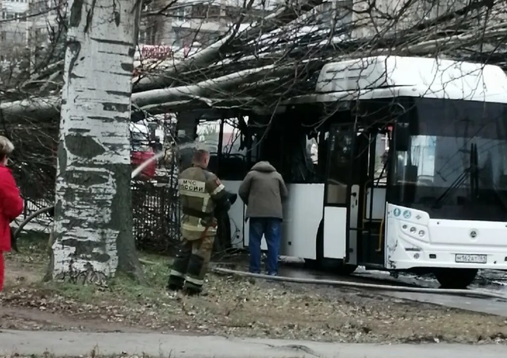 В Таганроге сгорел автобус. Авария автобуса в Таганроге. Таганрог сгорел автобуса дерево.