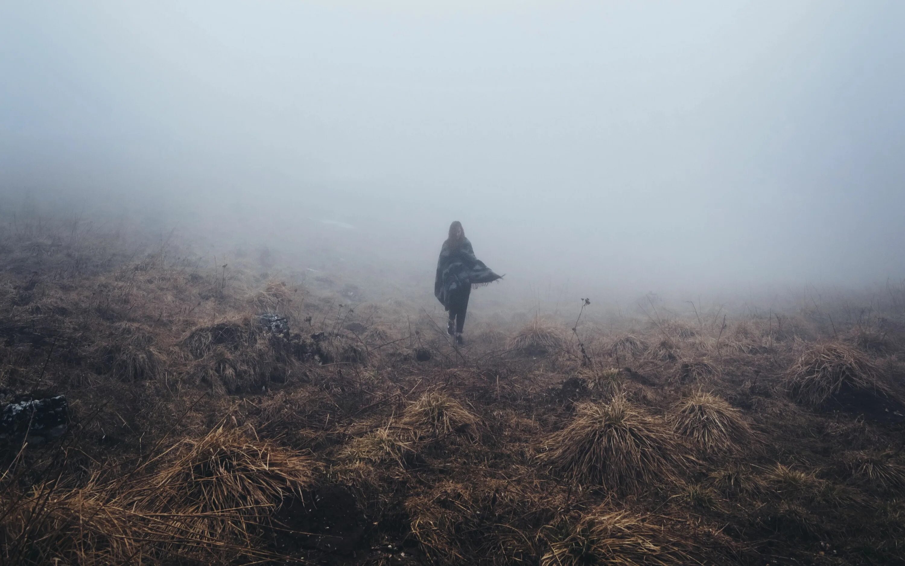 Туман над травой песня слушать. Поле в тумане. Девушка в тумане. Туман. Туман фото.