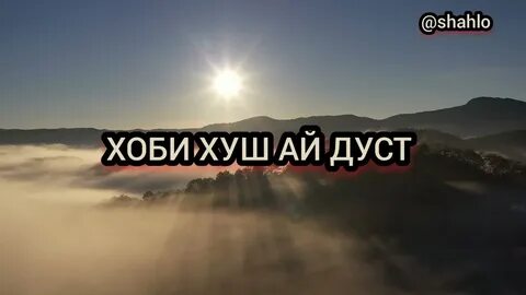Хоби хуш картинки