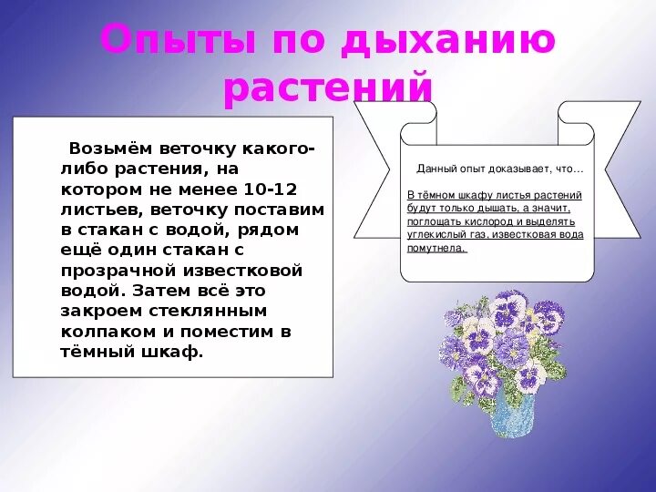 Дышат ли семена. Опыты по дыханию растений 6 класс. Дыхание растений 6 класс биология опыт. Опыт доказывающий дыхание растений. Как можно доказать что растения дышат.