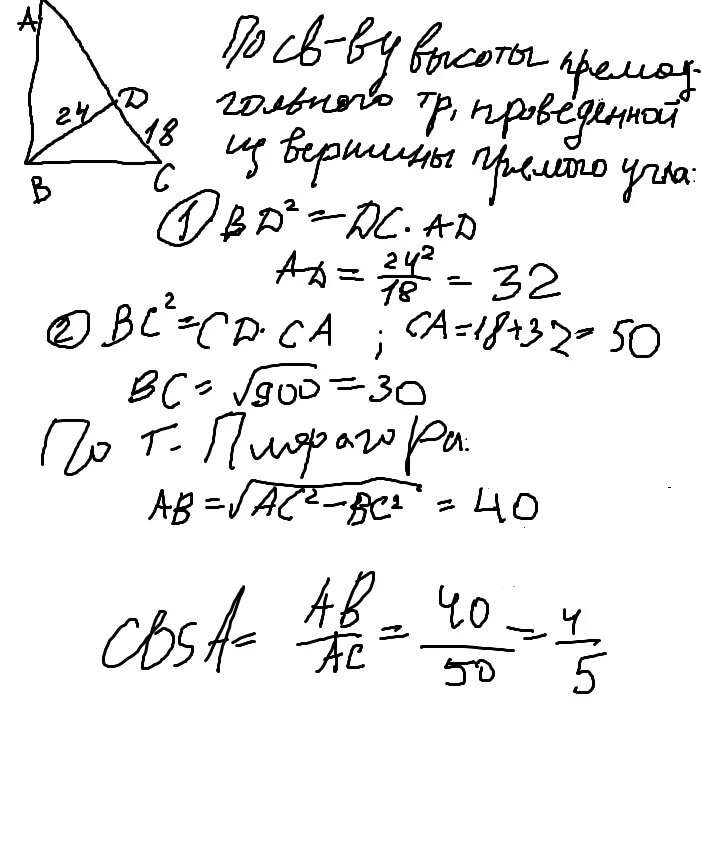 Высота бд прямоугольного треугольника авс равна 24
