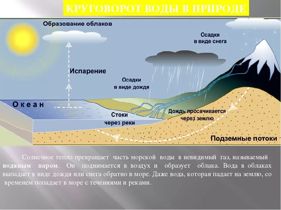 Какая вода жесткая речная или дождевая почему. Круговорот воды в природе химия 8 класс. Схема круговорота воды схема. Схема круговорота воды в природе 8 класс химия. Этапы мирового круговорота воды.