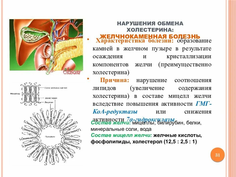 При каких заболеваниях нарушается обмен холестерина. Нарушение обмена холестерина биохимия. нарушение обмена холестерина патофизиология. нарушение холестеринового обмена патофизиология. нарушения обмена холестерола биохимия.