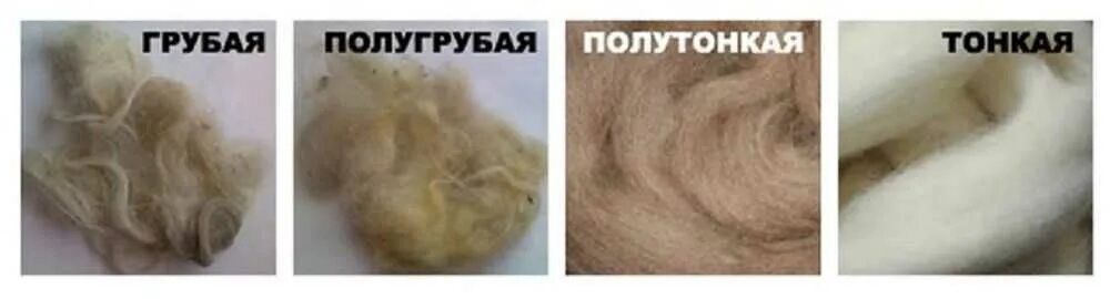 Как отличить шерстяную