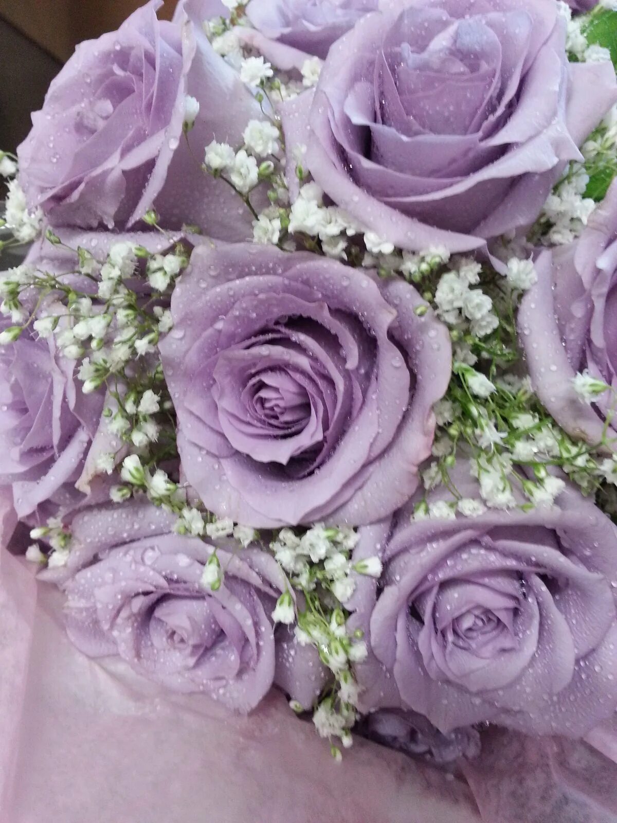 Белые розы фиолетовый. Свадебный букет гипсофила лиловая. Букет фиолетовых гипсофил.