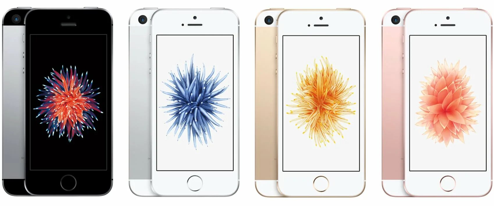 Apple iphone se 1 поколения. Айфон се 2016. Apple iphone se 2016 белый. Iphone se 1е поколение.