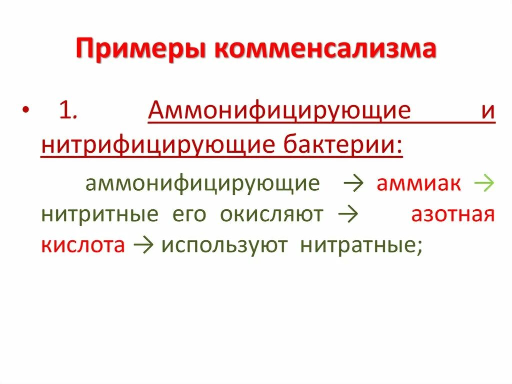 Комменсализм это примеры. Комменсализм микроорганизмов примеры. Комменсализм примеры. Комменсализм микробиология. Комменсализм примеры микробиология.