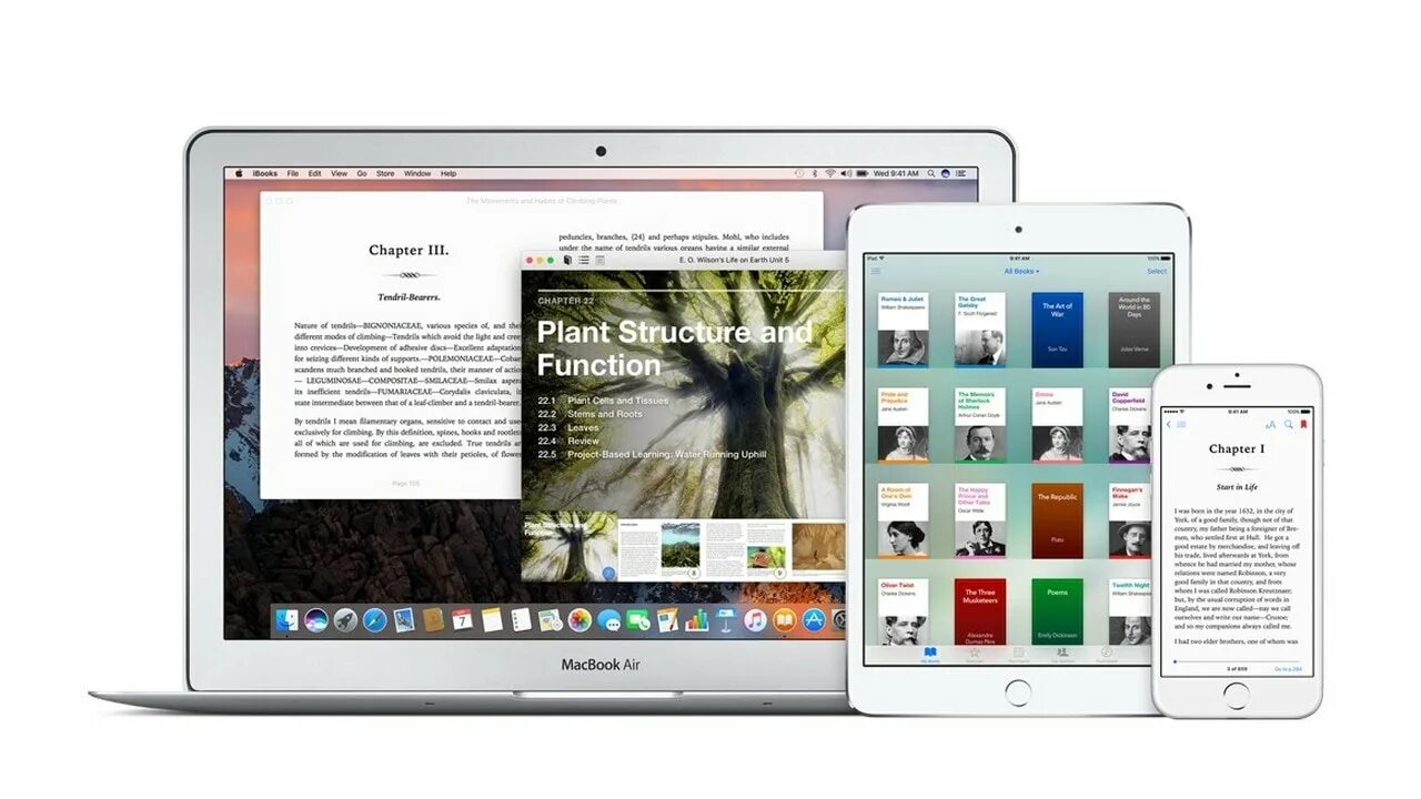 Книга на ipad. Приложение для чтения книг на айпад. Приложение книги на айпад. Apple book buy. Apple books приложение.