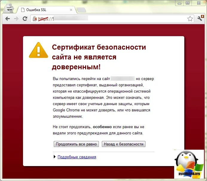 Reg ru ssl сертификат. SSL сертификат. Сертификат безопасности. Сертификат на сервер. Сертификат шифрования.