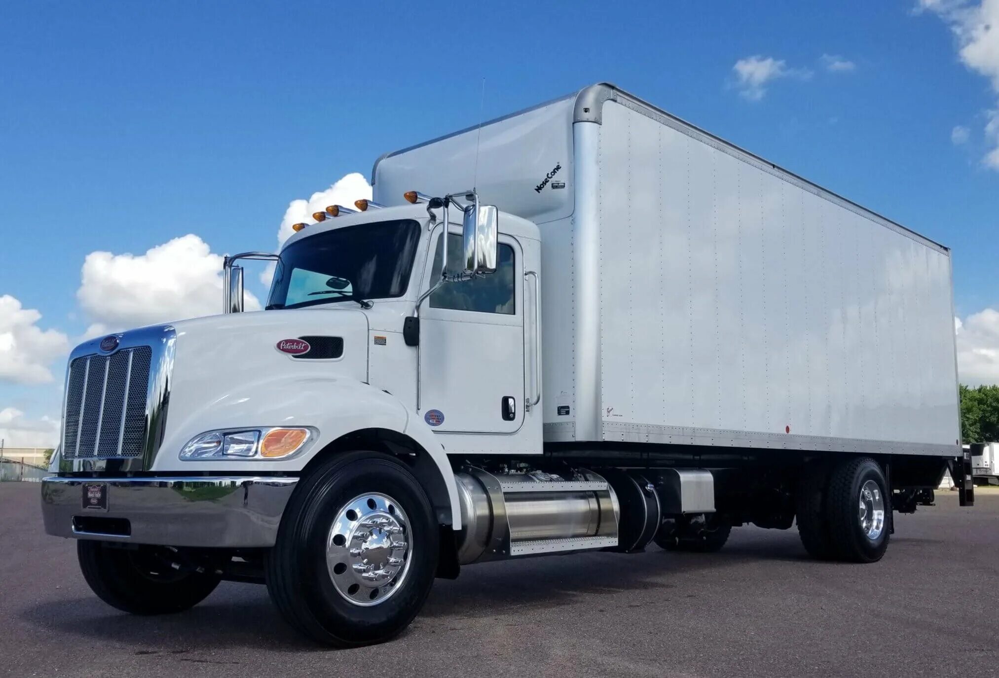 Freightliner Box Truck. Box Truck freightliner 5001. Петербилт одиночка. Peterbilt Box.