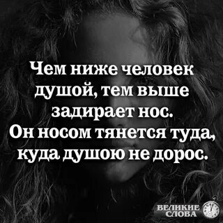 Носом туда