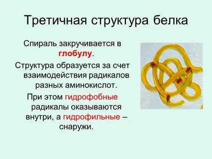 Представляет собой несколько глобул