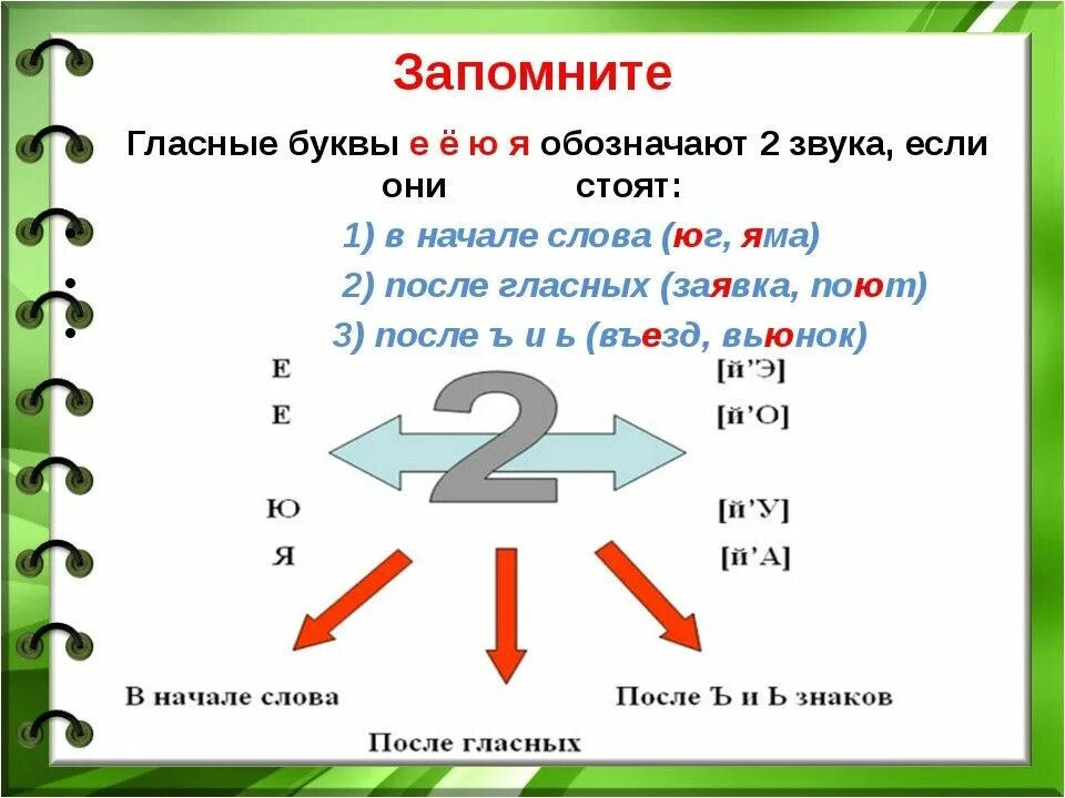 Ели сколько букв и звуков. Е Ё Ю Я обозначают два звука правило. Я Ю Е Ё обозначают 2 звука правило. Гласные буквы которые обозначают два звука. Когда в слове буква ё обозначает два звука.