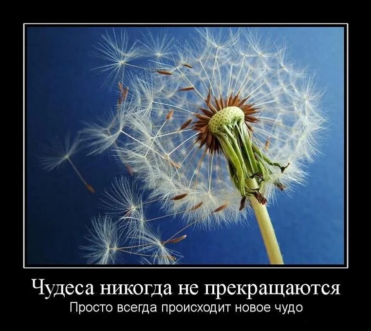 Такое происходит не каждый. Такое происходит не каждый
