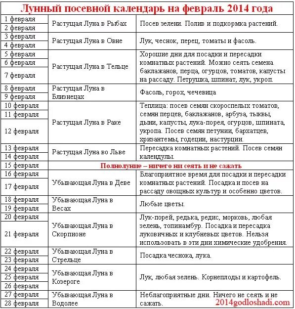 Лунный посевной календарь на февраль посадка перца. Лунный посевной календарь Нафе. Лунный календарь на февраль посевной. Таблица посева семян на февраль месяц. В какие дни можно сажать перец