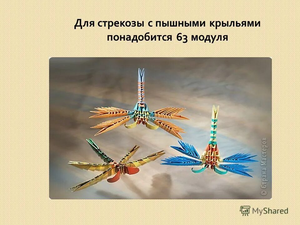 стрекозы отряд насекомых. какова масса насекомых. стрекоза размах крыльев 2 метра. выбери возможной вариант ответа. зеленые страницы о стрекозах.