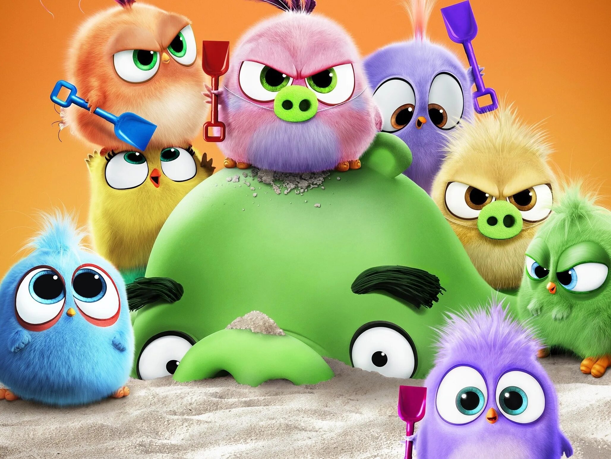 Angry Birds 2. Энгри бердз 2 птенцы.