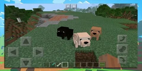 Mod dog