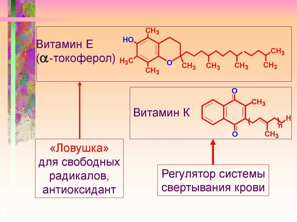 Токоферол витамин. Токоферол антиоксидант. Токоферол радикал. Токоферол реакции. Радикал жирной кислоты