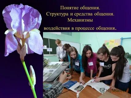 1 понятие общения структура общения