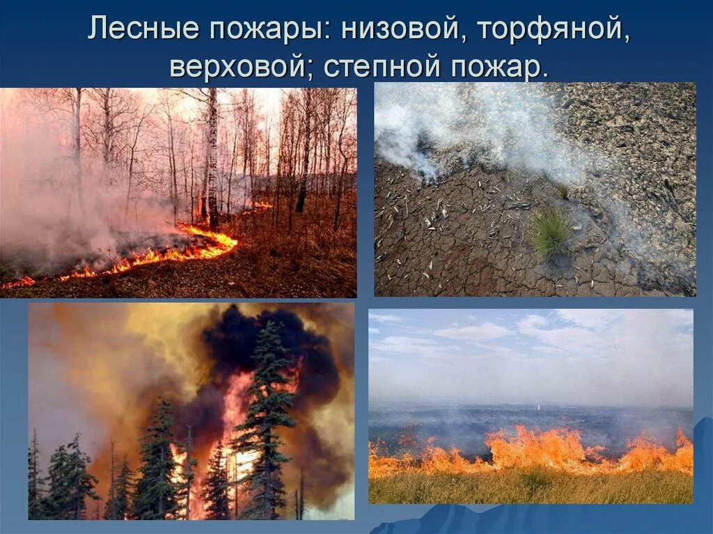 Что происходит при степном пожаре