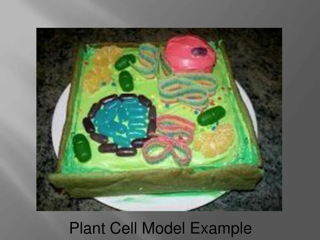 Cell project