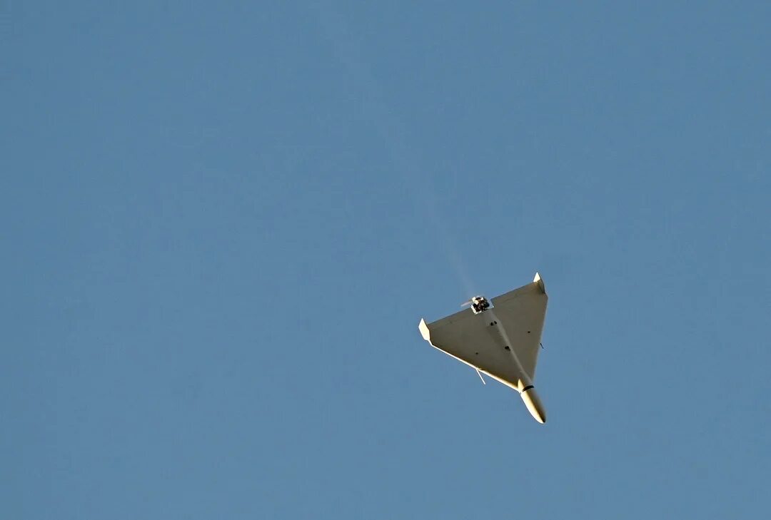 Бпла топаз. Бпла блэк хорнет 3. Беспилотники 23. Бпла rq-21a blackjack. Skylark бпла.