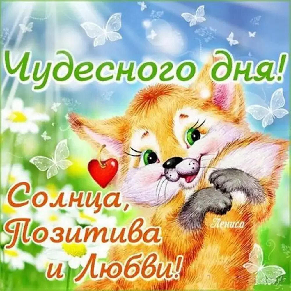 Доброе утро хорошего дня целую. Чудесного дня. хорошего дня и отличного настроения любимый. чудесного дня любимому. открытки отличного дня любимый.