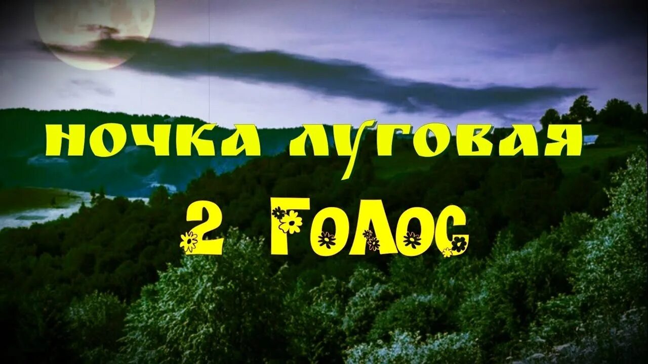 Песня ночка лунная чиков. Песня ночка Луговая. Ночка Луговая караоке. Ночка Луговая минус.