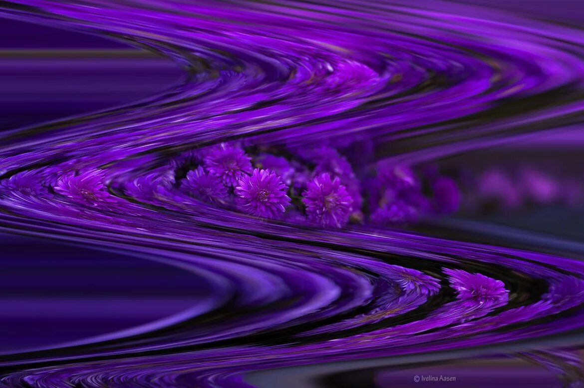 Purple wave