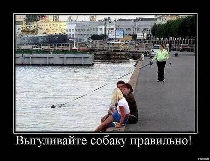 Смешно до слез свежие картинки