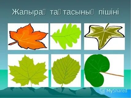 Жапондық пикап суретшілері